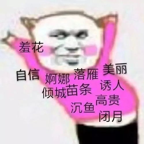 表情包脸皮一厚,征服宇宙