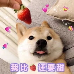 郑州渣男冒充富二代骗19名女子,生了6个孩子...