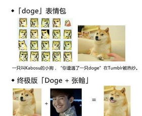 表情包科普黑人doge金馆长,他们都打哪儿来的