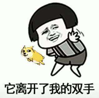 抖音我在那小区遛狗搞笑无水印表情包汇总