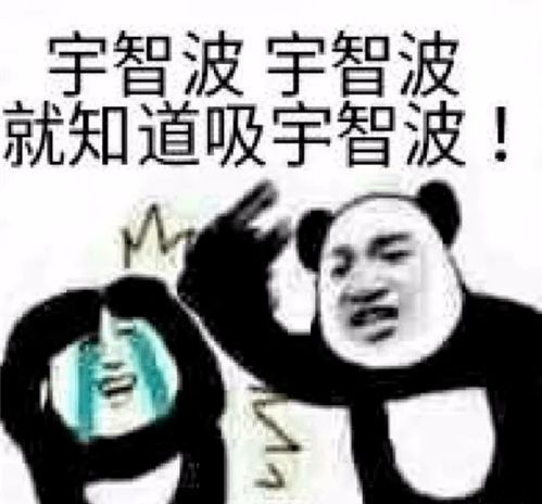 熊猫头火影忍者表情包