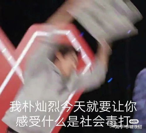 本人是一个新爱丽,希望得知一些关于exo介绍,越详细越好,也希望大家能够告诉我一些关于追星的软件谢谢