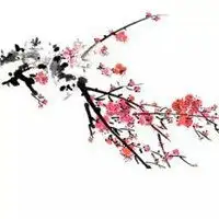 国画雪中梅花图片微信头像图片大全