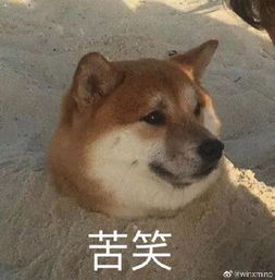 90后老师的空间动态都是这样的快被小学生逼疯了