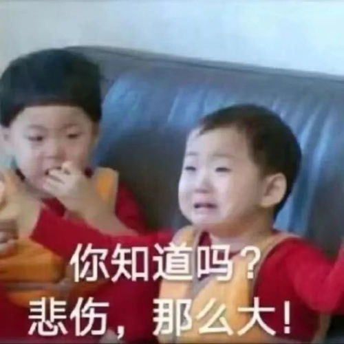 亲自下场怼粉丝,关晓彤绝不是第一个