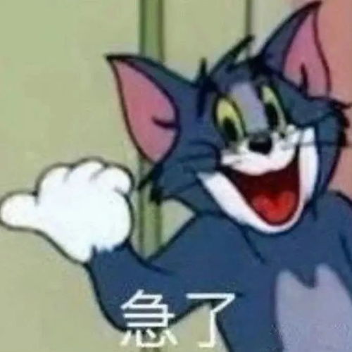 顶着热巴冰冰碧婷的硬件出道她在内娱刚红花期就没了