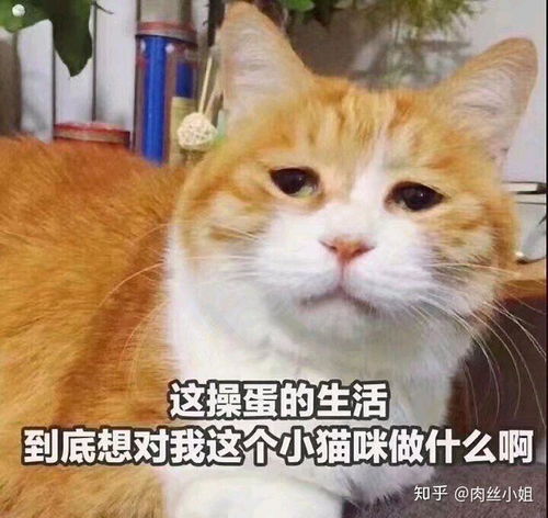 你们的老师做过什么惊为天人的事情