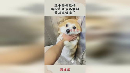 遭小哥哥壁咚,蜷缩在角落不敢动,最后表情亮了