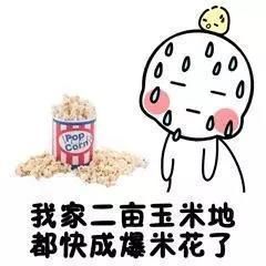 有哪些痴呆表情包
