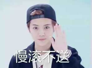 鹿晗你可以采访她的时候提下我,言外之意女友要找圈内的