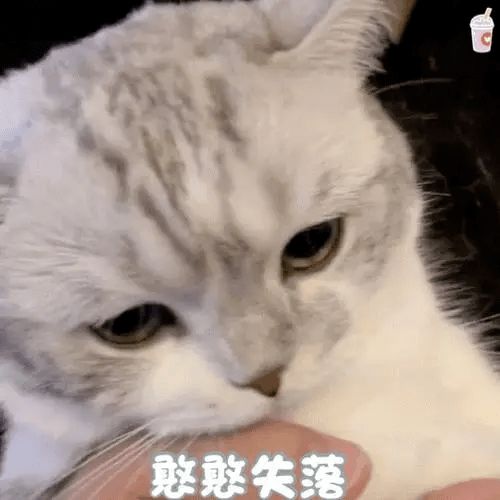 作为一个滞留国内的留学生,我终于收到了日本在留...