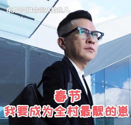 渣渣辉刘青云廉政风云看不看