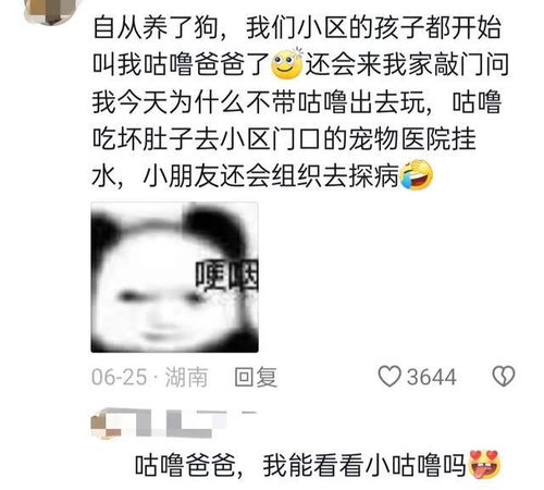 你字多你说得对表情包认识的字