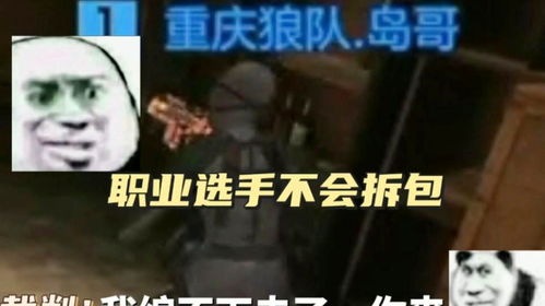 职业选手,但是不会拆包