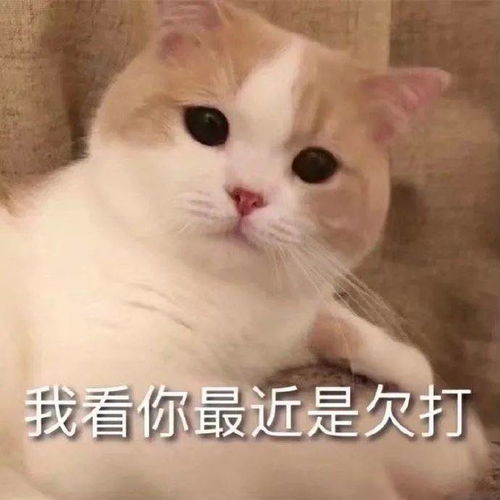 近视的人到底有多绝望哈哈哈哈哈换个星球生活吧