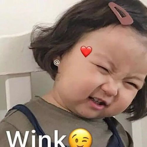我的收藏