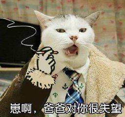 喵喵表情包,斗图的时候肯定不会输,因为对方已经被萌死