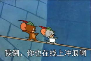 表情包我倒,你也在线上冲浪啊一起毒奶粉lol吃鸡王者啊