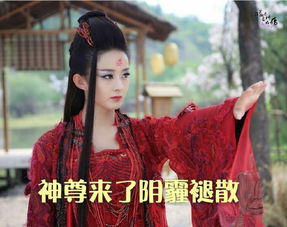 花千骨赵丽颖妖神表情包