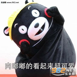 你没必要去减肥啊熊本熊表情图片超喜欢胖乎乎的你表情包下载乐游网游戏下载