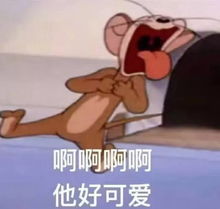 猫和老鼠表情包第六期最后一期啦高清无水印