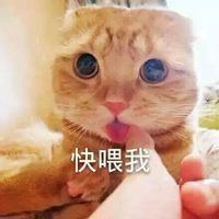 情侣分享的斗图表情包,光棍节又想骗我搞对象