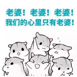 新一年的生活,从疯狂地宠老婆开始