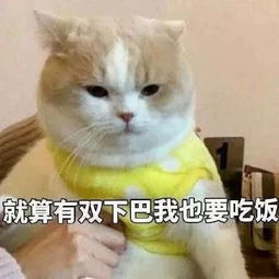 女孩子的哭点有多奇葩果然都是水做的