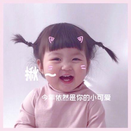 表情包我什么都看不见