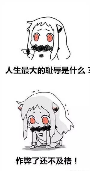 北方栖姬表情包