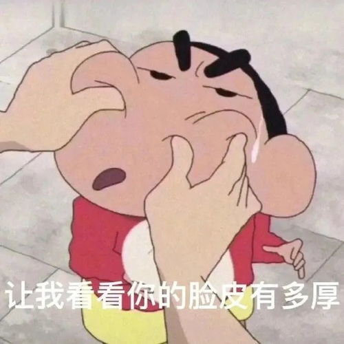 表情包让我看看你的脸皮有多厚