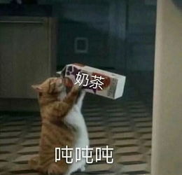 表情包多的同学,人缘总不会太差太准了