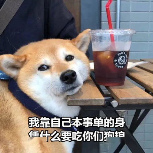 教你一招,让你在这个夏天斩获心动男生