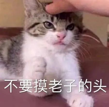 表情包能奖励一个亲亲吗