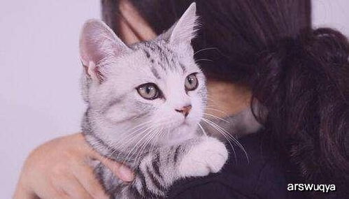 有爱猫咪和主人动作姿势神同步,猫结论他适合帮我铲屎