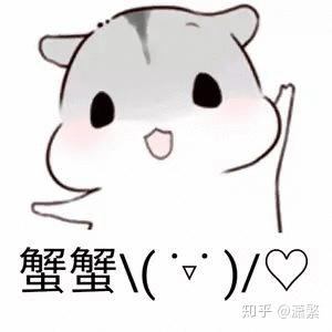 逗比的图片带表情包仓鼠