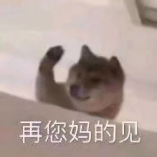 一看就大笑不止的句子今晚月色很美,风也温柔,适合刺猹