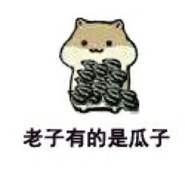 瓜子仓鼠系列oo