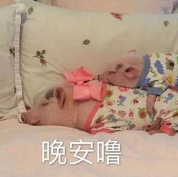 晚安表情包我要睡觉了