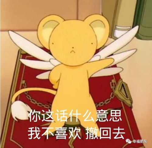 重要申明肥东这个地方免费
