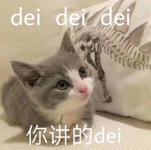 手机里那些最宝贝的表情包,速来收图