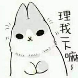 谁有这种系列的兔子表情包吗这只兔子叫什么