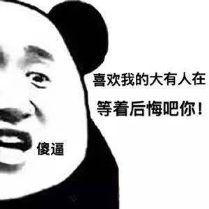 表情包还是沙雕熊猫头好使