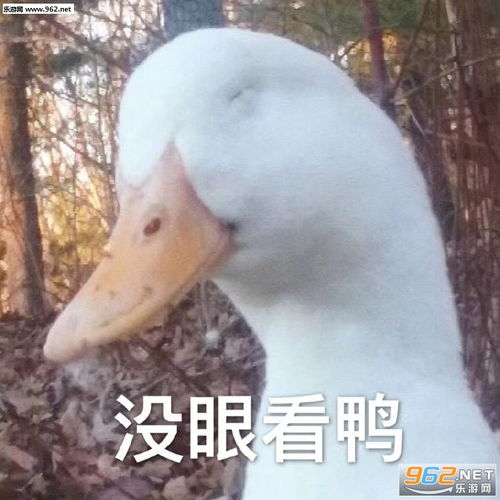 元气满满鸭表情包冲鸭要抱抱鸭唐老鸭表情包带字图片下载乐游网游戏下载