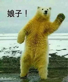 裘英俊敢用这种情侣头像的才是真爱