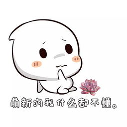 多肉表情包,卖萌带发骚