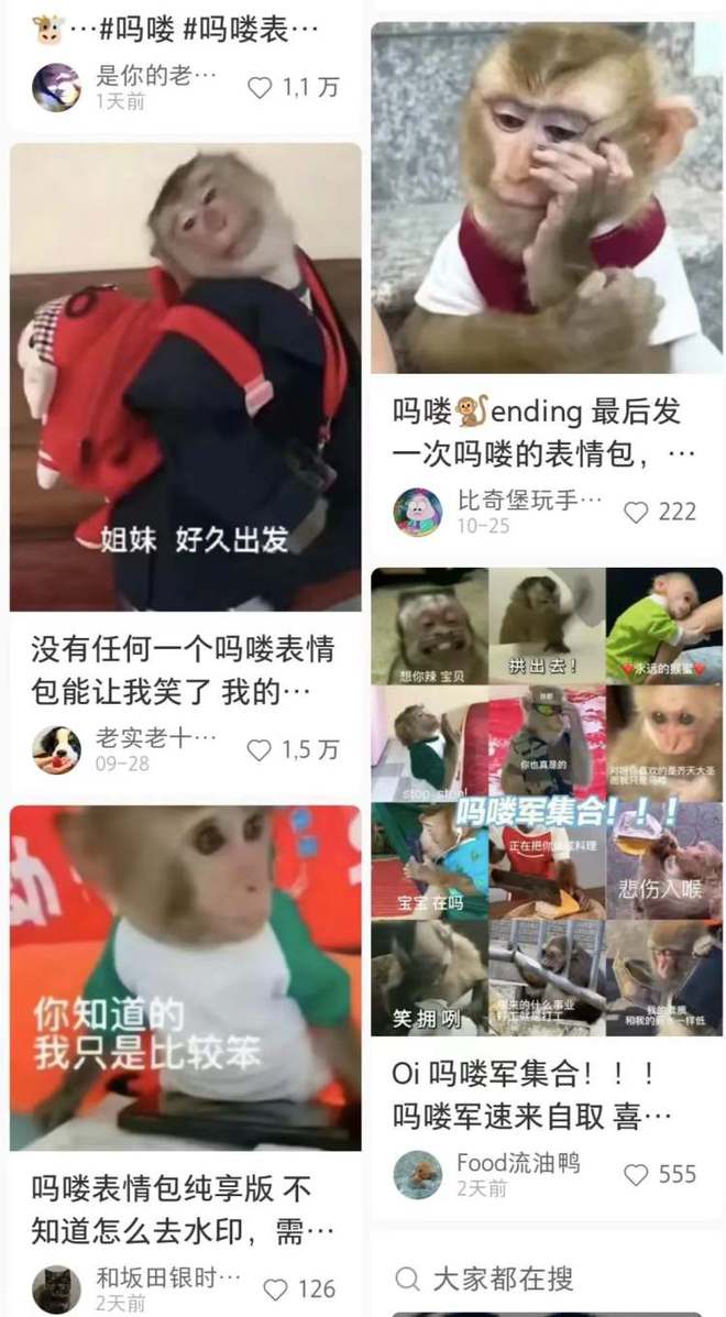 年轻人的精神状态,都被这些动物演完了