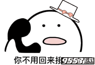你不用回来接我了表情图片下载你不用回来接我了表情包无水印版9553下载