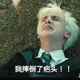 最文雅的斗图表情包撕出了浓浓书卷气