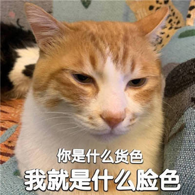 聊天表情包早上好不好也可以随便你